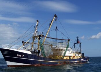 L'IOCT inserisce flotta di tonniere in lista nera