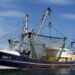 CINEA: regionalizzazione migliora gestione della pesca locale a lungo termine