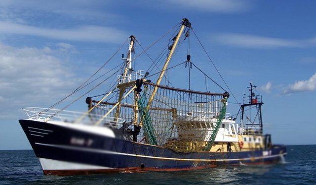 CINEA: regionalizzazione migliora gestione della pesca locale a lungo termine