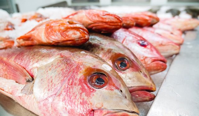 FAO: crescita dell'1,5% della produzione mondiale di pesca e acquacoltura