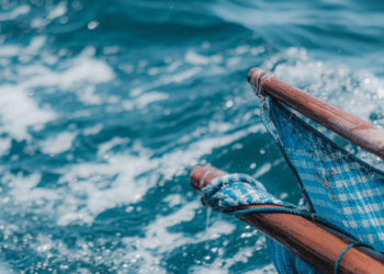 La Giornata Mondiale degli Oceani 2022 con MSC Pesca Sostenibile