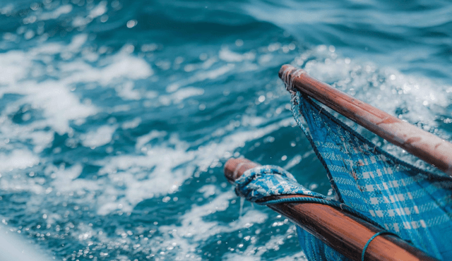 La Giornata Mondiale degli Oceani 2022 con MSC Pesca Sostenibile