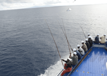 La Business Unit Food di Bolton Group accoglie la sfida "Fish better" di WWF