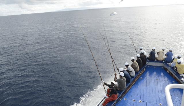 La Business Unit Food di Bolton Group accoglie la sfida "Fish better" di WWF