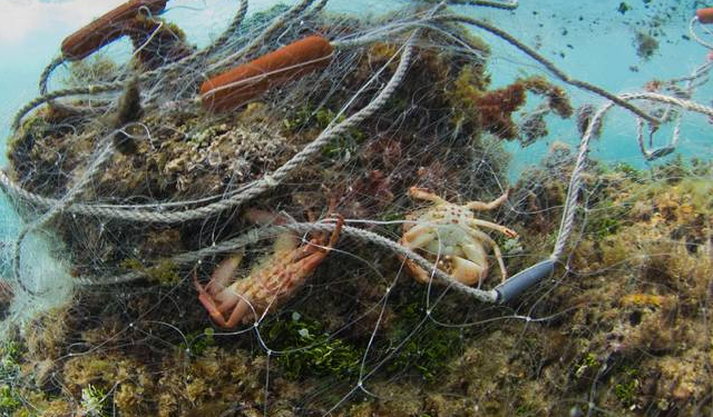 Ghost Fishing, un nuovo progetto per combattere la pesca fantasma