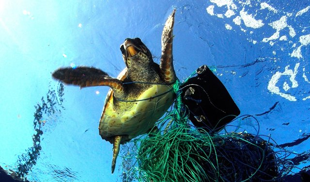 Ghost Fishing, un nuovo progetto per combattere la pesca fantasma