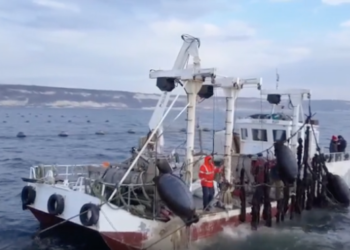 La produzione record di pesca e acquacoltura contribuisce alla sicurezza alimentare