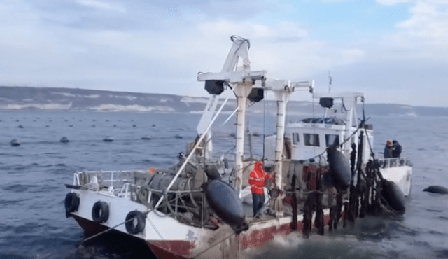 La produzione record di pesca e acquacoltura contribuisce alla sicurezza alimentare