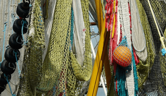 L'intelligenza artificiale a servizio del settore della pesca