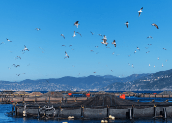 Aqua De Mâ presente alla mostra fotografica Ambiente Clima Futuro