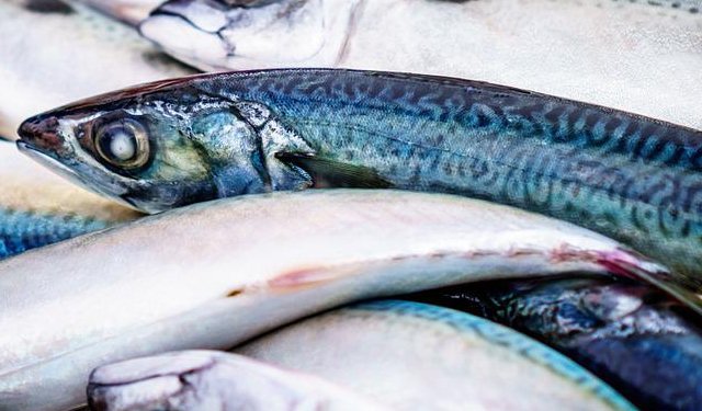 Importanti benefici per la salute derivanti dal consumo di pesce