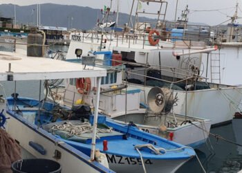 La CGPM ha presentato il programma MedSea4Fish