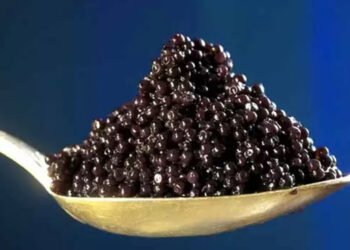 Russia, già prodotte più di 18,7 tonnellate di caviale