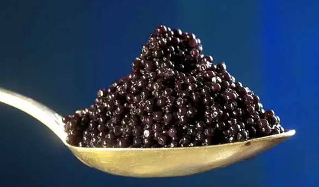 Russia, già prodotte più di 18,7 tonnellate di caviale