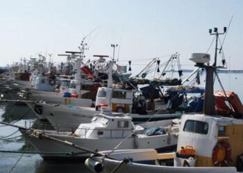 Pubblicato avviso pubblico a sostegno delle marinerie pugliesi