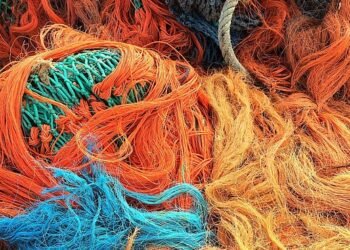 La Regione Campania ancora in aiuto dei suoi pescatori