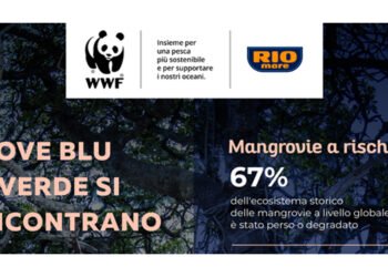 Giornata internazionale per la conservazione dell’ecosistema di mangrovie