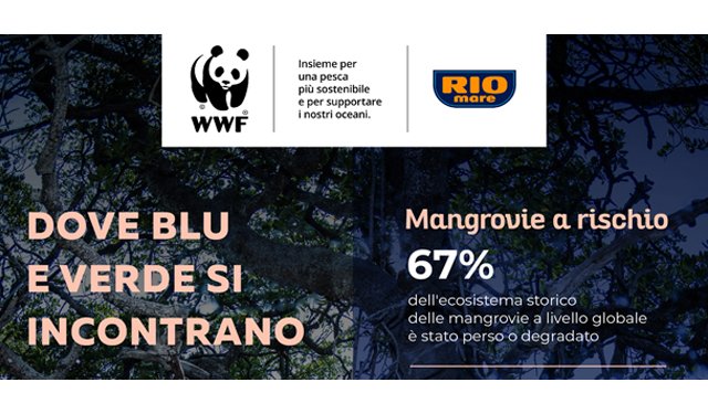 Giornata internazionale per la conservazione dell’ecosistema di mangrovie