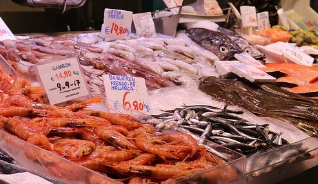 Ittico Prezzi, nuove schede di BMTI sull'andamento dei prezzi