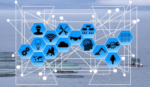 Acquacoltura e IoT nel progetto SEASTAR, finanziato dall'UE