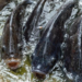 Zimbabwe, prevista importante crescita della tilapia