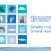 Il settore delle alghe nel report della FAO Genetic resources for farmed seaweeds
