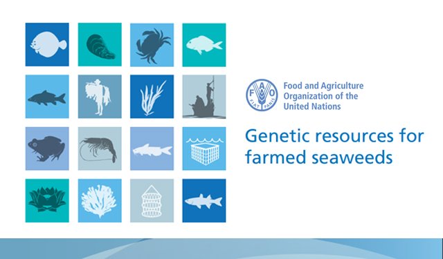 Il settore delle alghe nel report della FAO Genetic resources for farmed seaweeds