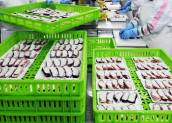 La Cina riesporta la maggior parte dei prodotti ittici importati