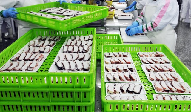 La Cina riesporta la maggior parte dei prodotti ittici importati