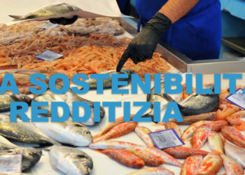 La sostenibilità è redditizia