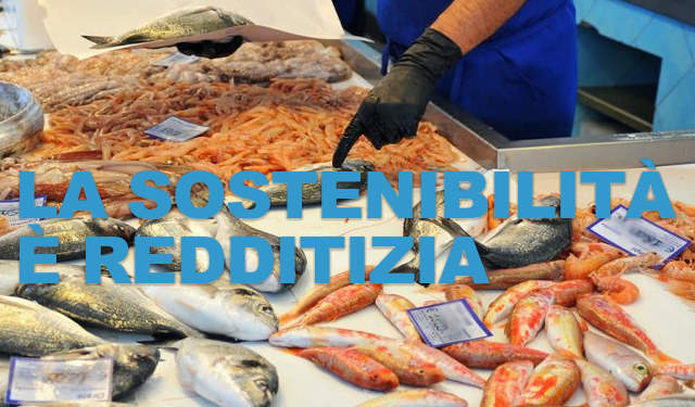 La sostenibilità è redditizia