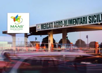 MAAS. Pubblicazione avviso box n. 9 mercato ittico