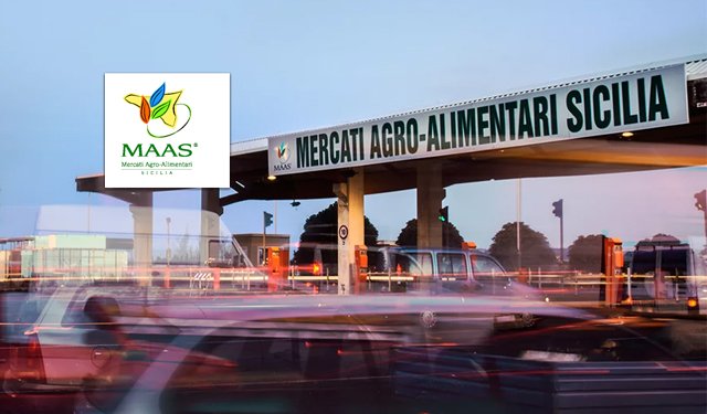 MAAS. Pubblicazione avviso box n. 9 mercato ittico