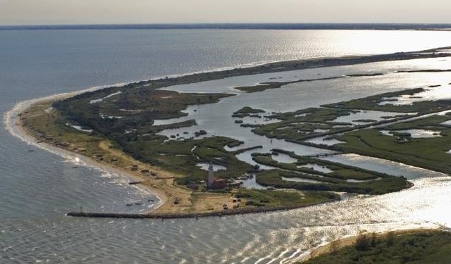 Nasce l'Area di Tutela Biologica (ATB) "Foce Po di Goro"