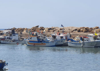 Nominata una nuova commissione CSTEP