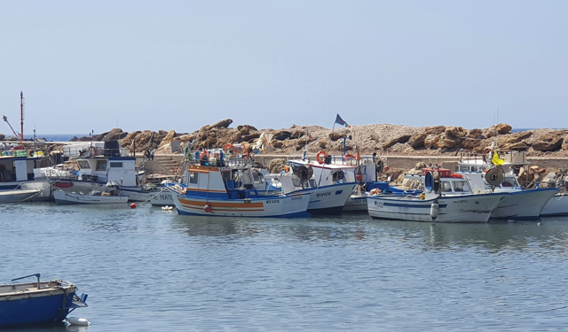 Nominata una nuova commissione CSTEP