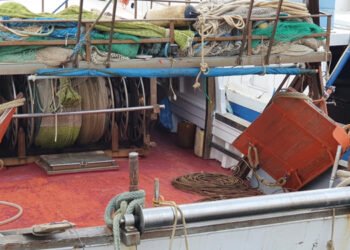 Pesca, Lega: bene voto su misure crisi per conseguenze guerra