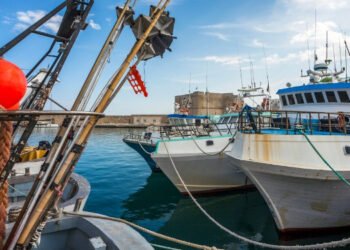 Pesca Sicura - Il fenomeno tecnopatico nelle attività di pesca delle marinerie pugliesi