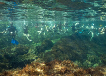 Rio Mare a sostegno dell’Area Marina Protetta "Isole Egadi"