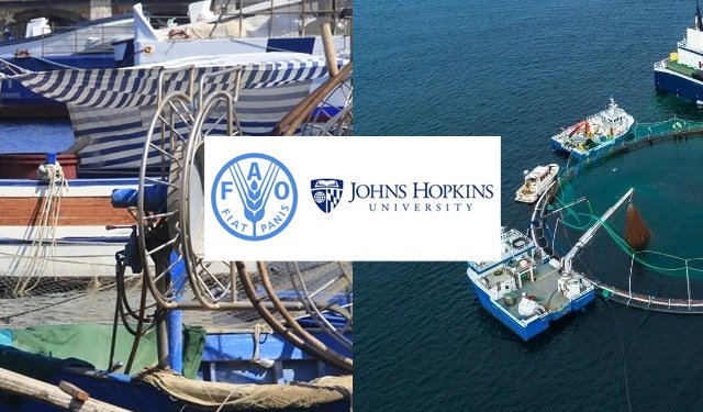 Come pesca e acquacoltura hanno risposto al COVID?