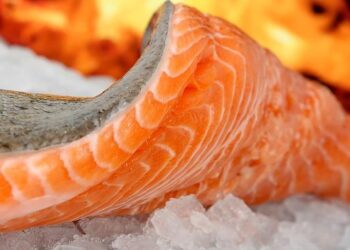 Boom delle esportazioni di prodotti ittici norvegesi