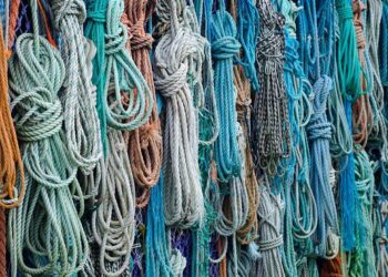 Pesca, D'Amato: bene sblocco aiuti UE per il settore