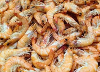 Il mercato dei gamberi in sofferenza fino a fine anno