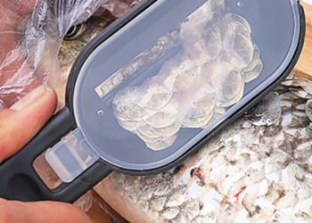 Da squame di pesce a nanomateriali di carbonio di alta qualità