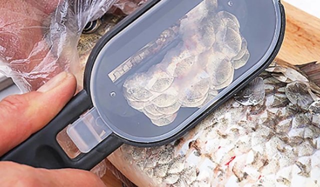 Da squame di pesce a nanomateriali di carbonio di alta qualità