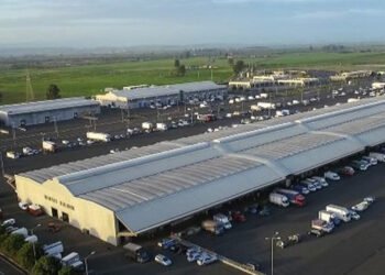 MAAS: bando per la concessione di un box all'interno del mercato ittico