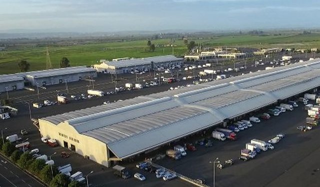 MAAS: bando per la concessione di un box all'interno del mercato ittico