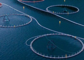 Nel 2020 in Portagallo 40 mila le aziende legate al mare 