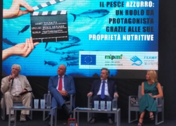 Presentato Hub Mipaaf all'Isola del Cinema di Roma