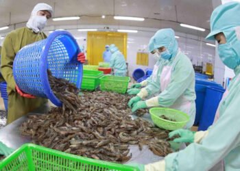 Vietnam. Quasi 2 miliardi di euro di export ittico nel 2022